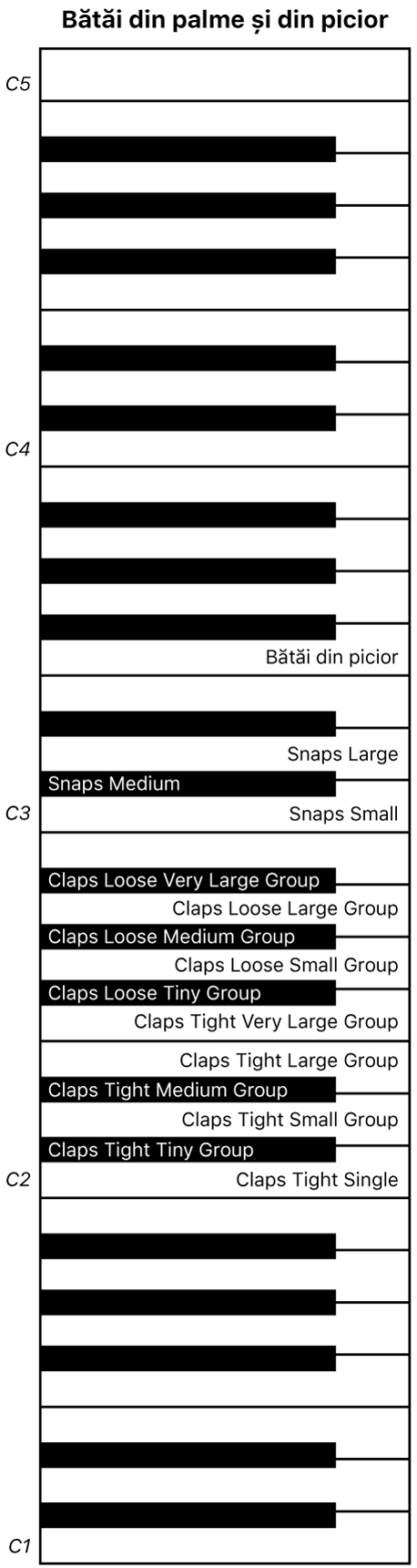 Figură. Harta claviaturii pentru interpretarea Claps and Snaps.