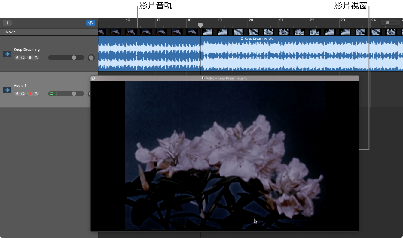 浮動的「影片」視窗和包含影片中音訊的音軌。
