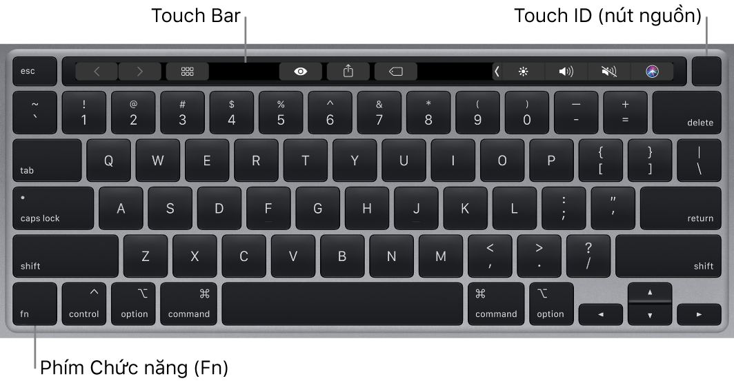 Bàn phím MacBook Pro đang hiển thị Touch Bar, Touch ID (nút nguồn) và phím chức năng Fn ở góc dưới bên trái.