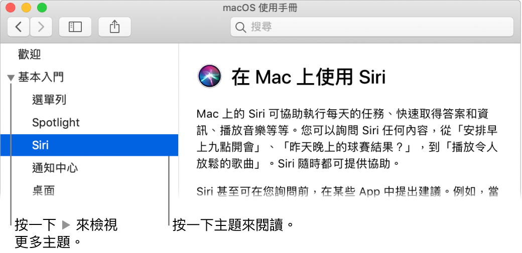 輔助說明檢視程式，顯示如何檢視側邊欄列出的主題以及如何顯示主題的內容。