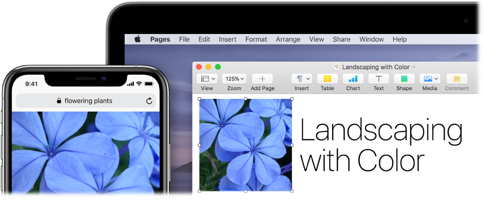 mac screen capture copy to clipboard