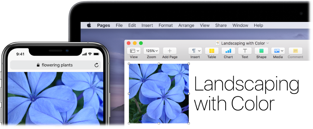 An iPhone showing a photo, next to a Mac showing the photo being pasted into a Pages document.