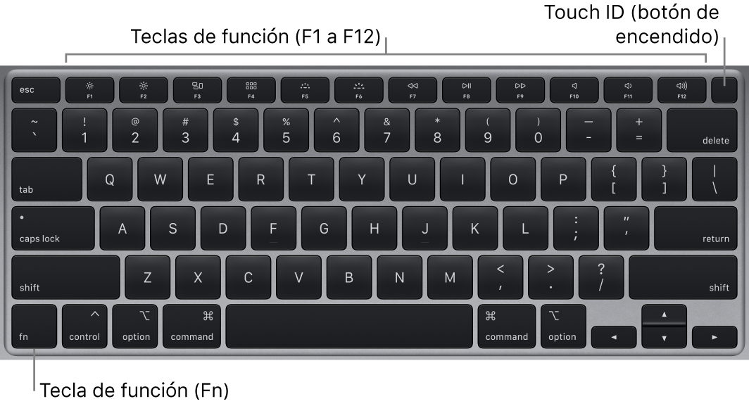 El teclado de la MacBook Air mostrando la fila de teclas de función, el botón de encendido Touch ID en la parte superior y la tecla de función (Fn) en la esquina inferior izquierda.