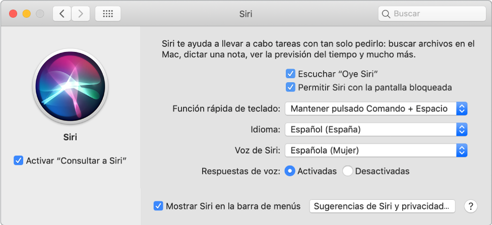 La ventana de preferencias de Siri, donde la casilla “Activar ‘Consultar a Siri’” aparece seleccionada a la izquierda y se muestran varias opciones para personalizar Siri a la derecha, como “Al oír ‘Oye Siri’”.