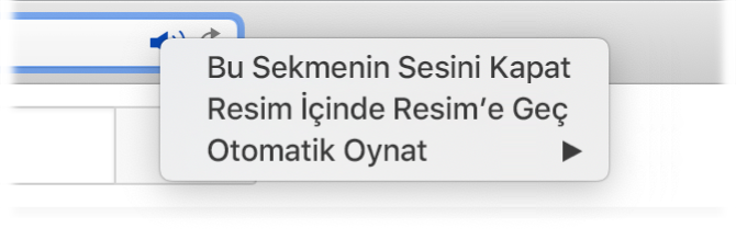 Ses simgesinin Bu Sekmenin Sesini Kapat, Resim İçinde Resim’e Geç ve Otomatik Oynat öğelerini içeren alt menüsü.