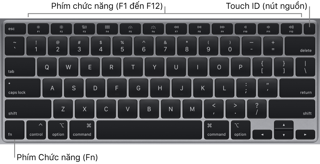 Bàn phím MacBook Air đang hiển thị hàng các phím chức năng, Touch ID, nút nguồn ở trên cùng và phím Chức năng (Fn) ở góc phía dưới bên trái.