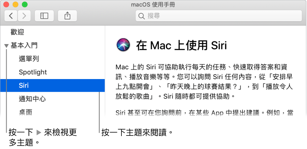 輔助說明檢視程式，顯示如何檢視側邊欄列出的主題以及如何顯示主題的內容。