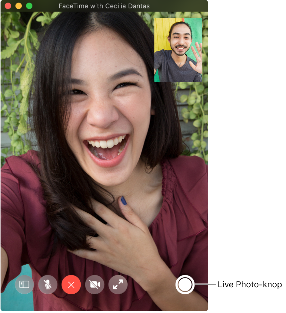 Plaats de aanwijzer op het FaceTime-venster om de knop 'Live Photo' weer te geven.