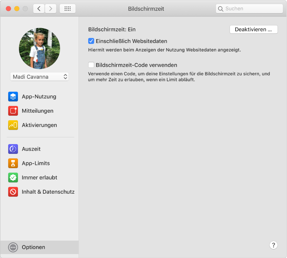 Bereich mit den Optionen für die Bildschirmzeit mit aktivierter Bildschirmzeit. Die Option „Einschließlich Websitedaten“ ist ausgewählt.
