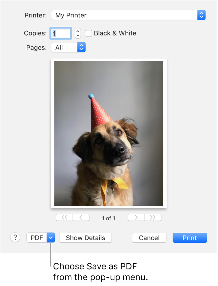 how-to-turn-a-photo-into-a-pdf-on-mac