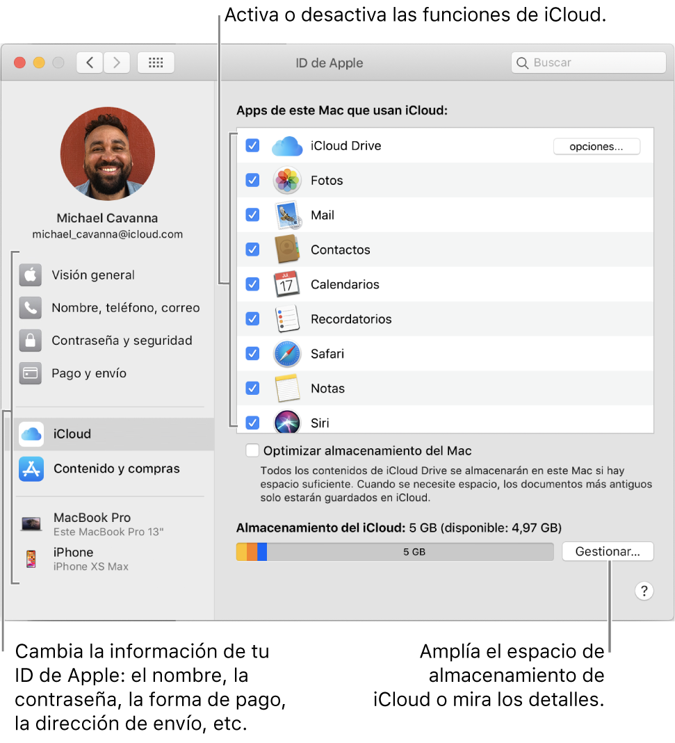Panel de preferencias iCloud con todas las funciones seleccionadas.