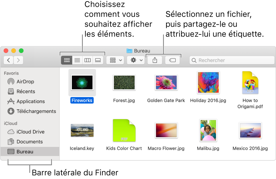 Une fenêtre du Finder avec la barre latérale du Finder à gauche. Dans le coin supérieur gauche de la fenêtre se trouvent quatre boutons sur lesquels vous pouvez cliquer pour changer l’affichage des éléments de la fenêtre du Finder. À droite, se trouvent deux boutons sur lesquels vous pouvez cliquer pour partager ou marquer les fichiers sélectionnés.