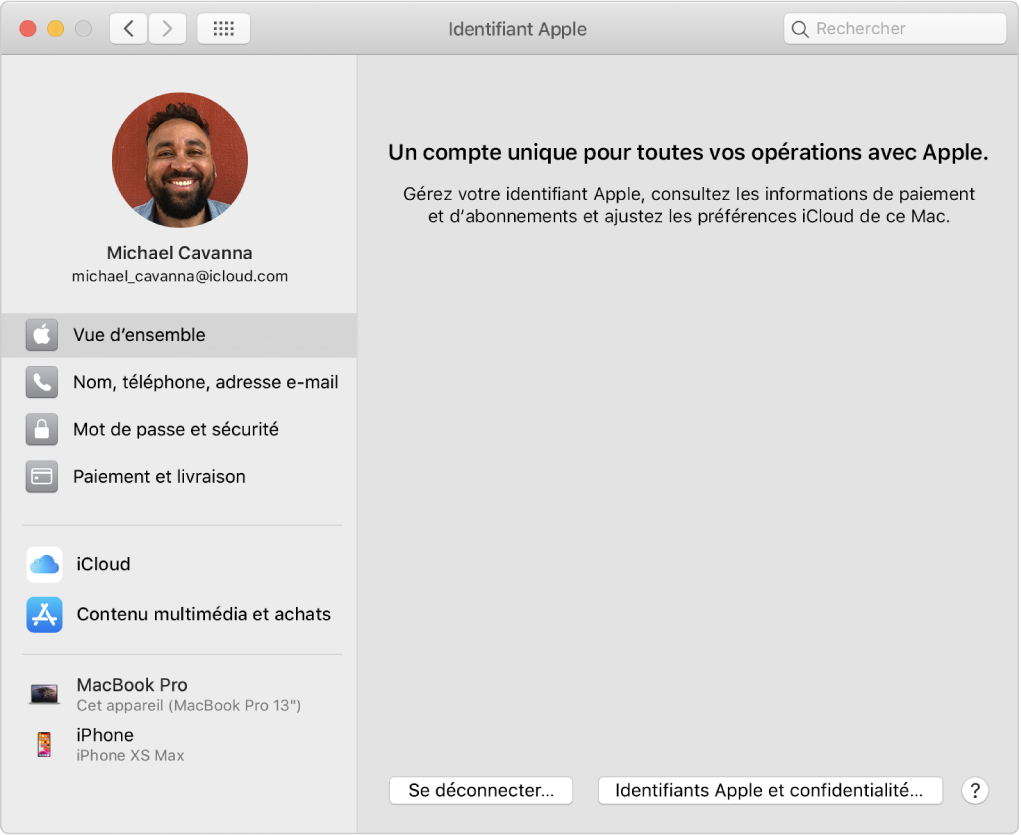 Préférences « Identifiant Apple » montrant une barre latérale de différents types d’options de compte que vous pouvez utiliser et les préférences « Vue d’ensemble » pour un compte existant.