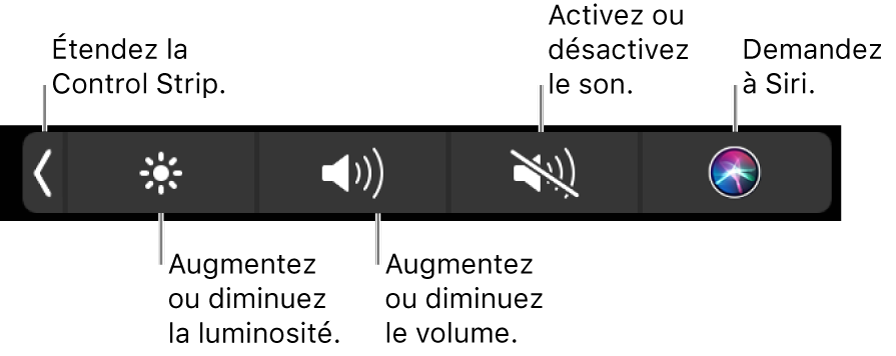 La Control Strip condensée comprend des boutons de gauche à droite, pour développer la Control Strip, augmenter ou baisser la luminosité de l’écran ou le volume, couper ou rétablir le son et demander des choses à Siri.