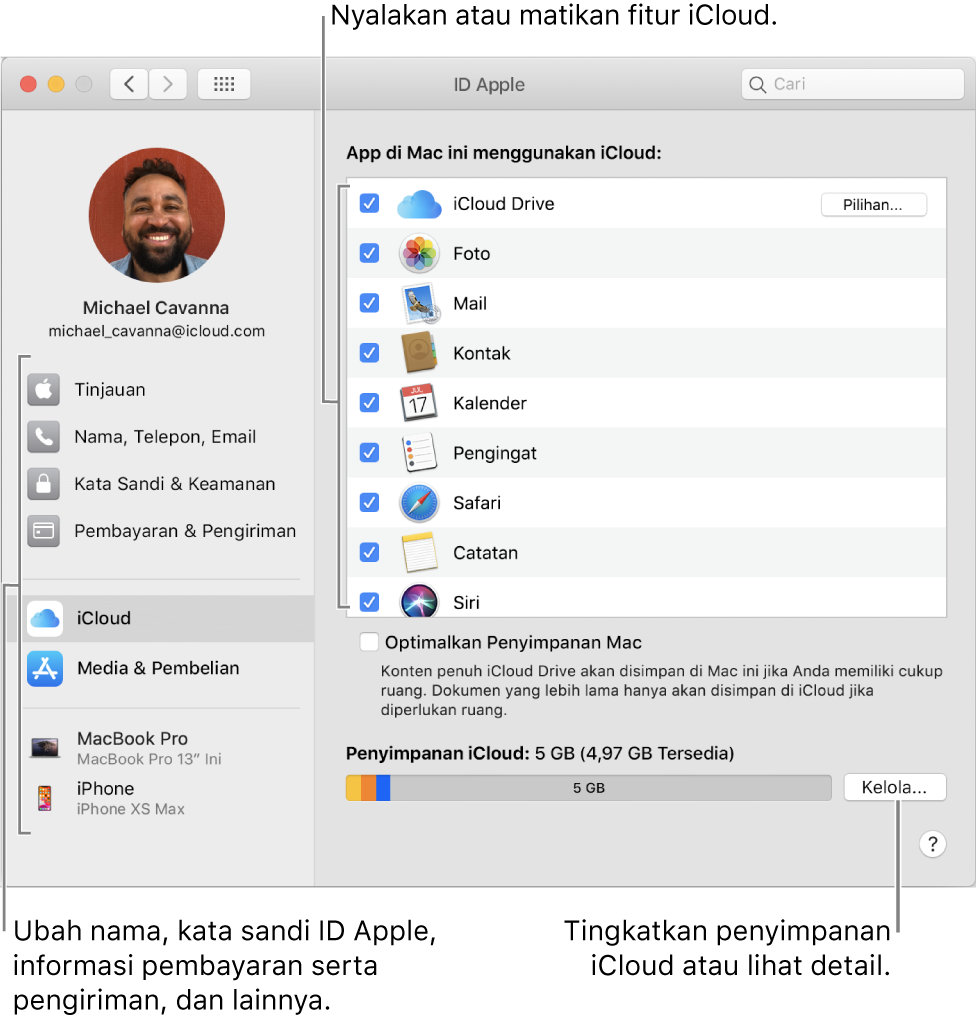 Preferensi iCloud dengan semua fitur dipilih.