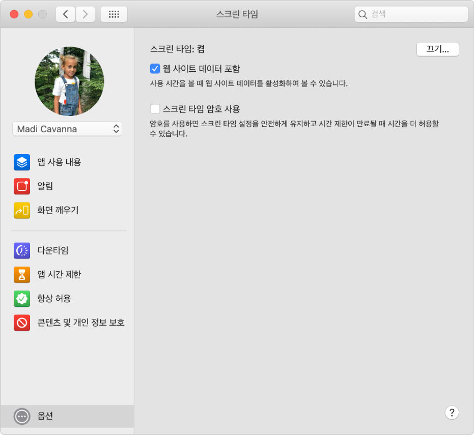 스크린 타임이 켜져 있는 스크린 타임 옵션 패널. 웹 사이트 데이터 포함 옵션이 선택되어 있음.