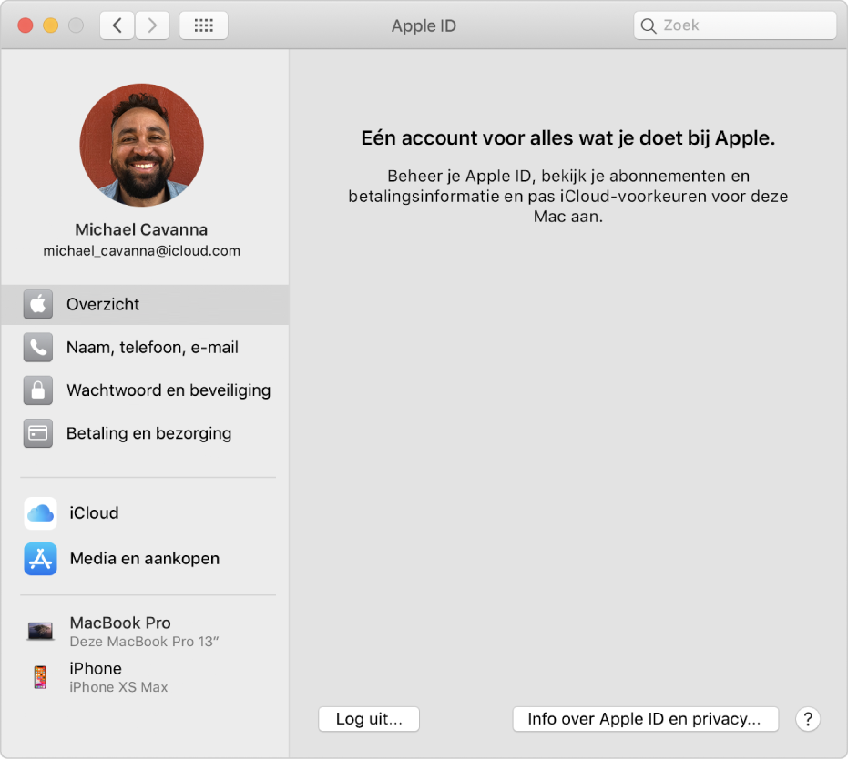 Het paneel 'Apple ID' in Systeemvoorkeuren, met een navigatiekolom met daarin verschillende typen accountopties die je kunt gebruiken, en het voorkeurenpaneel 'Overzicht' voor een bestaande account.