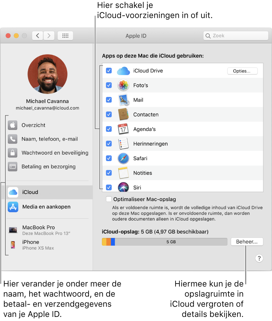 Het paneel 'iCloud' in Systeemvoorkeuren waarin alle voorzieningen zijn geselecteerd.