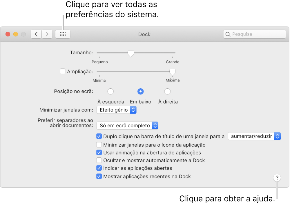 Clique em “Mostrar tudo” para ver todos os ícones de preferências. Clique no botão Ajuda para obter mais informações sobre o painel.