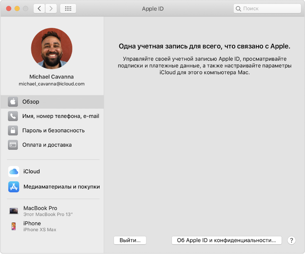 Настройки Apple ID. В боковой панели показаны доступные типы учетных записей, а также панель настроек «Обзор» для существующей учетной записи.