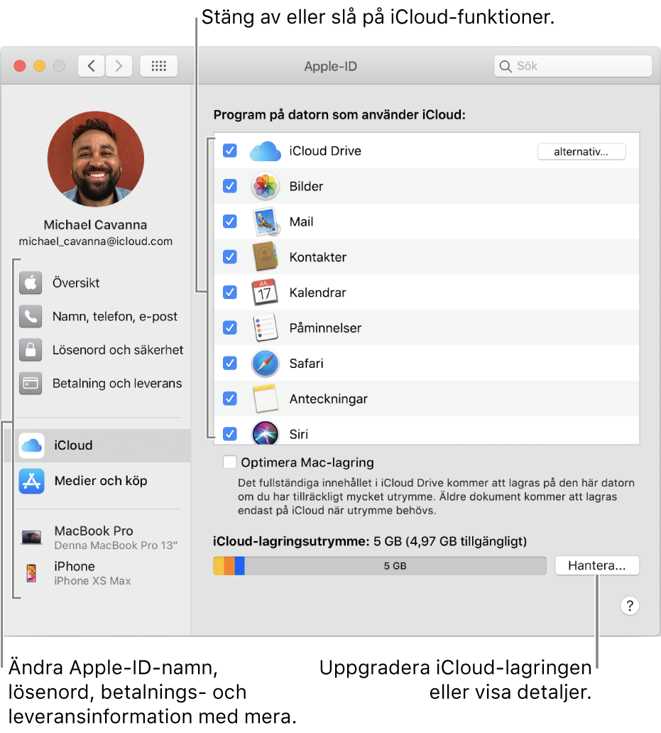 iCloud-inställningarna med alla funktioner markerade.