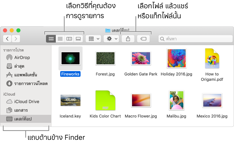 หน้าต่าง Finder ที่มีแถบด้านข้าง Finder ทางด้านซ้าย ที่ด้านซ้ายบนของหน้าต่างมีปุ่มสี่ปุ่มที่คุณคลิกได้เพื่อเปลี่ยนวิธีที่คุณดูรายการในหน้าต่าง Finder ทางด้านขวามีปุ่มสองปุ่มที่คุณคลิกเพื่อแชร์หรือแท็กไฟล์ที่เลือก