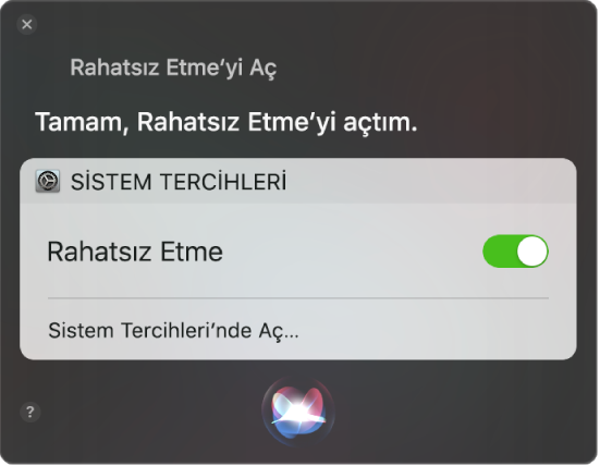 Görevi tamamlama isteğini gösteren Siri penceresi, “Rahatsız etme’yi aç.”