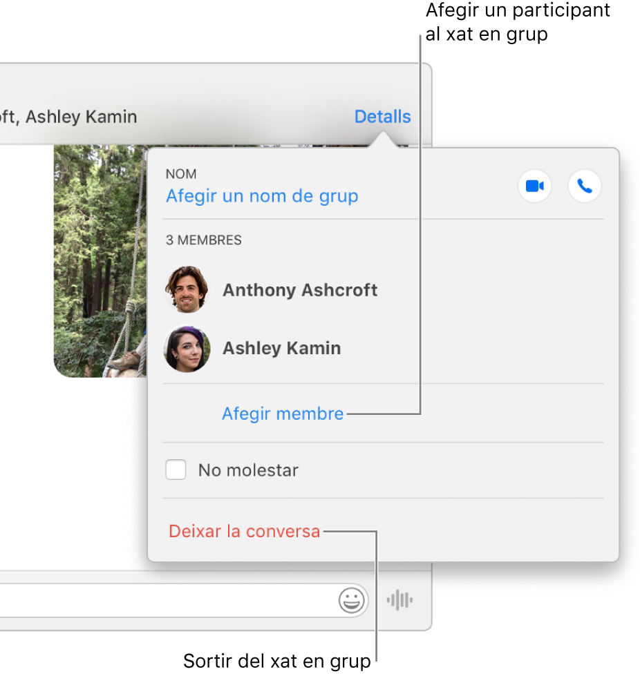 Vista Detalls, que apareix en fer clic a Detalls en una conversa en grup. Es mostra “Afegir membre” sota el nom de l’últim participant de la llista i apareix “Deixar aquesta conversa” a la part inferior del quadre de diàleg.