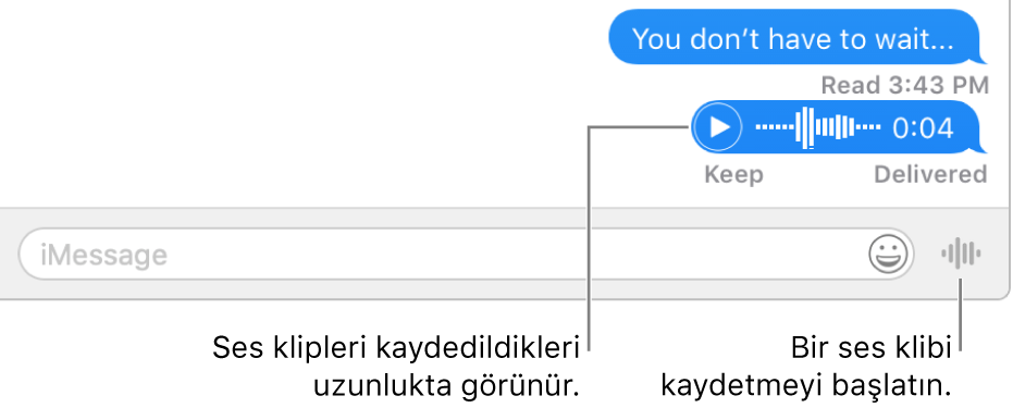 Mesajlar penceresinde bir yazışma ve pencerenin alt kısmında metin alanının yanında görüntülenen Sesli Mesaj Gönder düğmesi.
