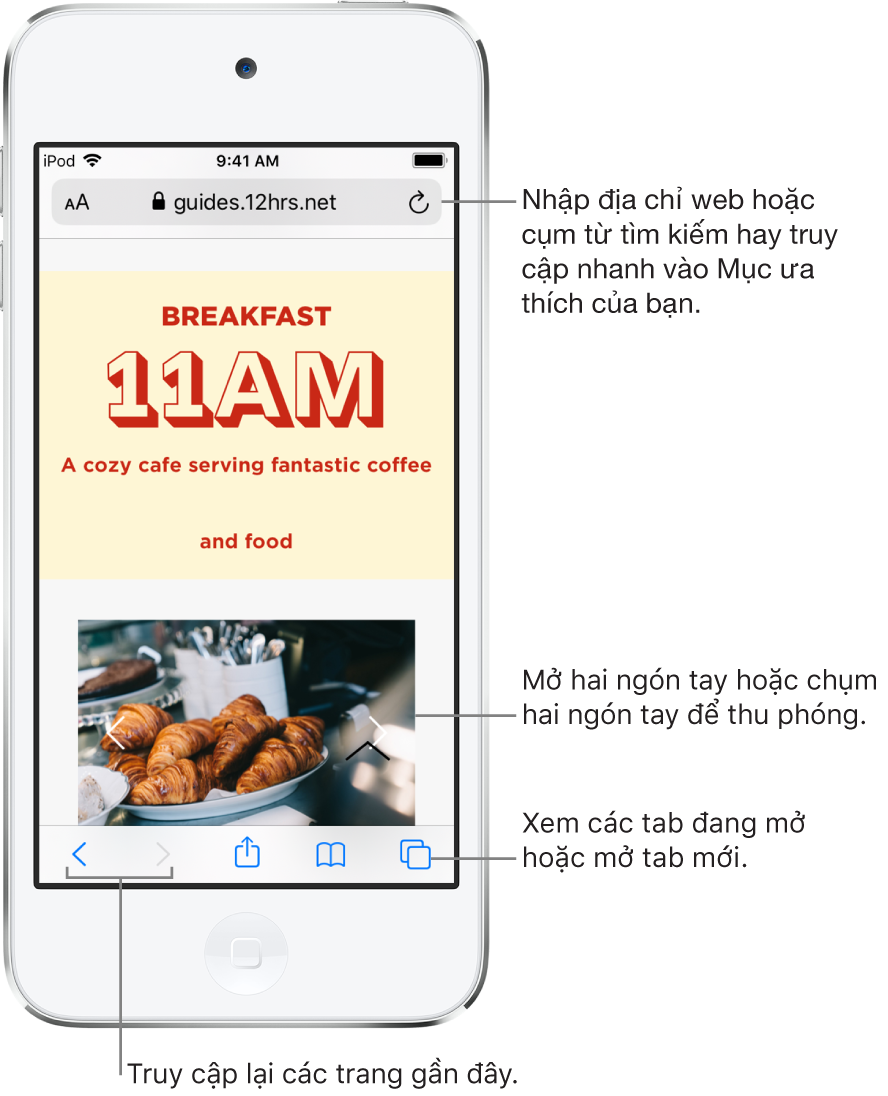 Một trang web đang mở trong cửa sổ Safari, với trường địa chỉ ở trên cùng. Ở dưới cùng, từ trái sang phải, là các nút Quay lại, Chuyển tiếp, Chia sẻ, Dấu trang và Trang.