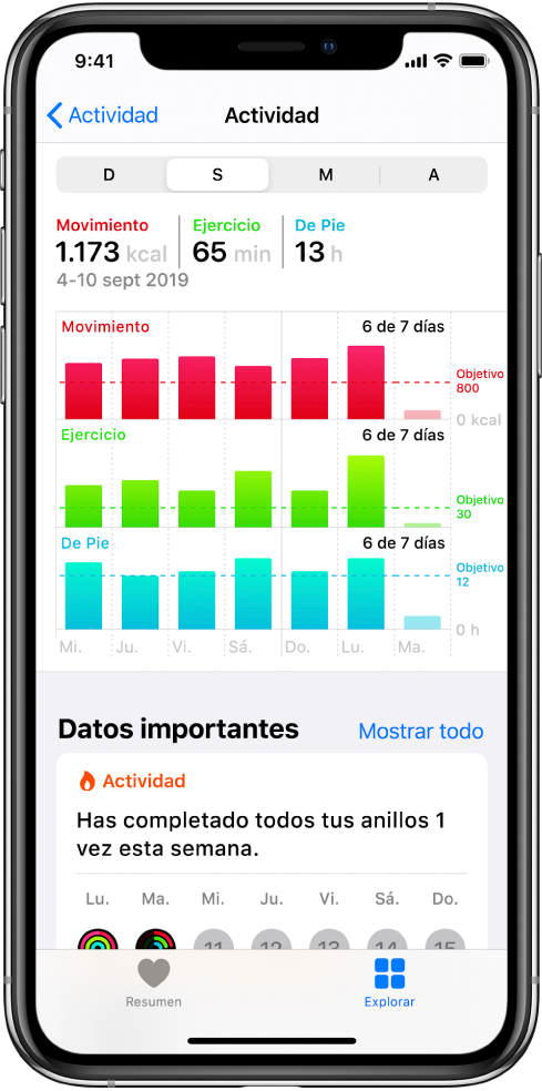 Pantalla de detalles para la categoría Actividad.