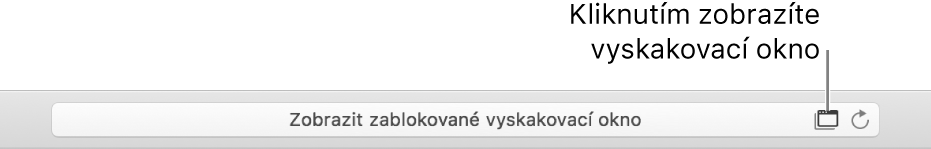 Dynamické vyhledávací pole s ikonou pro aktivaci vyskakovacích oken na pravé straně