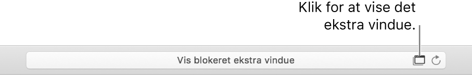 Det smarte søgefelt, der viser et symbol til højre for at tillade ekstra vinduer.