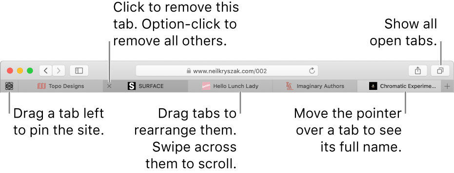 The Safari window with tabs.