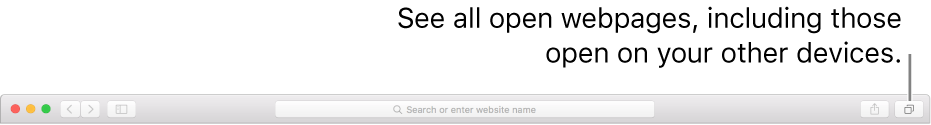 The toolbar, showing the Show All Tabs button.