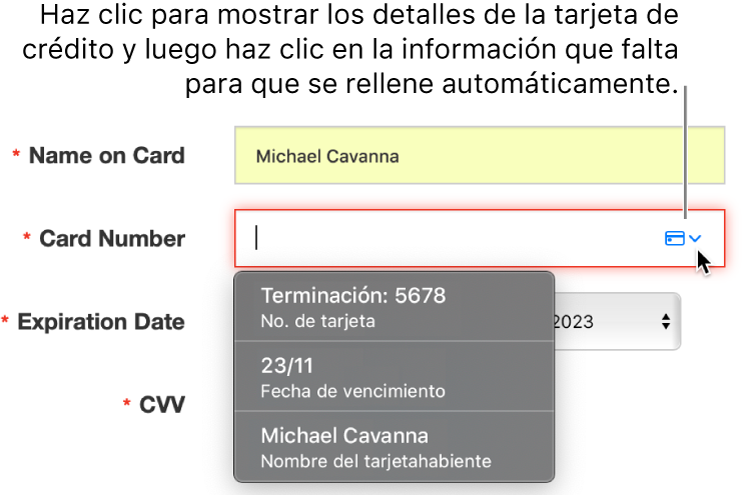Información de la tarjeta de crédito faltante, con el autorrelleno mostrando las opciones disponibles.