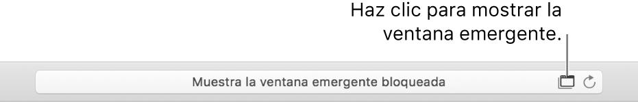El campo de búsqueda inteligente con un icono a la derecha para permitir ventanas emergentes.