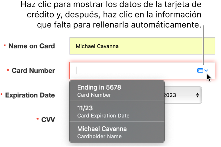Información de la tarjeta de crédito en la que falta un detalle, con información de rellenar automáticamente con las opciones disponibles.
