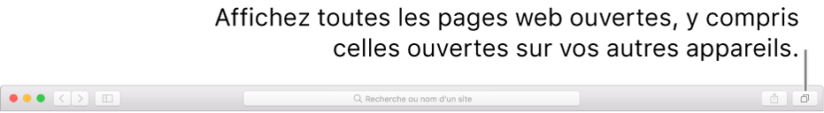 La barre d’outils avec le bouton Afficher tous les onglets.