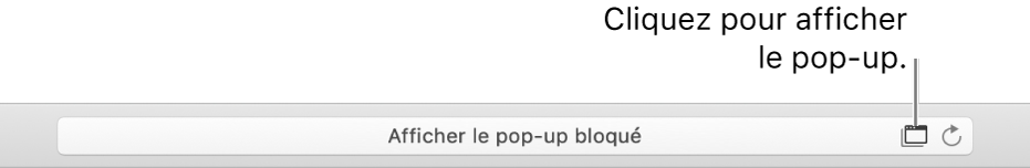 Champ de recherche intelligente avec une icône permettant d’autoriser les pop-up sur la droite.