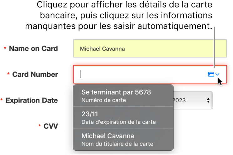 Informations de carte bancaire avec un détail manquant, avec le remplissage automatique affichant les choix disponibles.