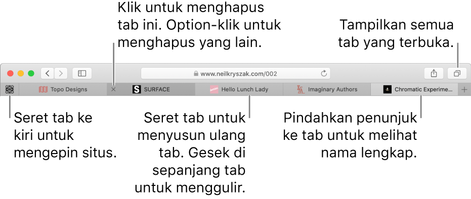 Jendela Safari dengan tab.