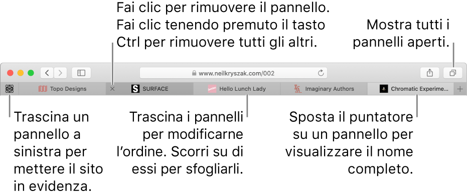 La finestra di Safari con pannelli.