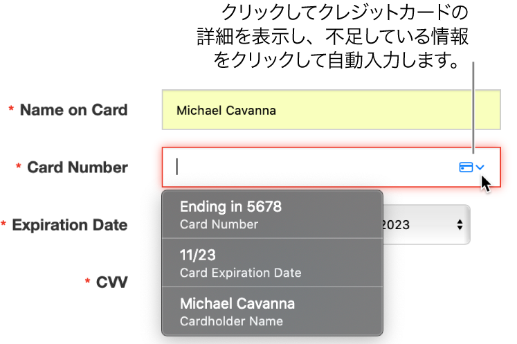 詳細が入力されていないクレジットカード情報。自動入力に利用可能な選択候補が表示されています。