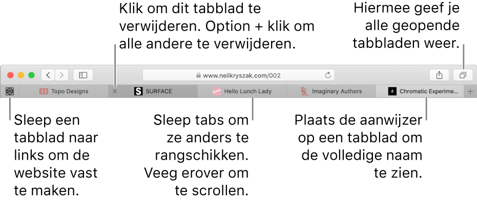 Het Safari-venster met tabbladen.