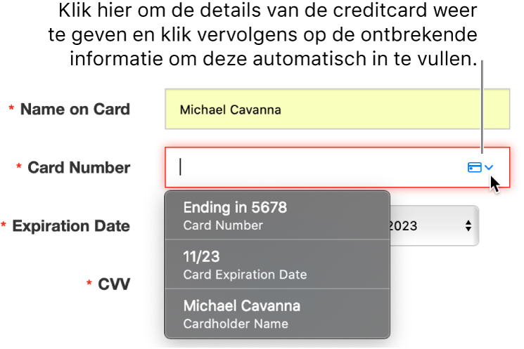 Creditcardgegevens met een ontbrekende gegevens. De optie voor automatisch invullen geeft de beschikbare opties weer.