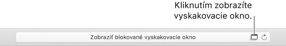 Pole Dynamického Vyhľadávania zobrazujúce ikonu napravo, aby povolila vyskakovacie okná.