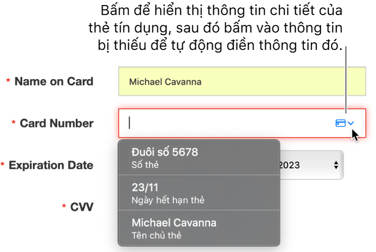Thông tin thẻ tín dụng bị thiếu một chi tiết, với tính năng tự động điền đang hiển thị các lựa chọn có sẵn.