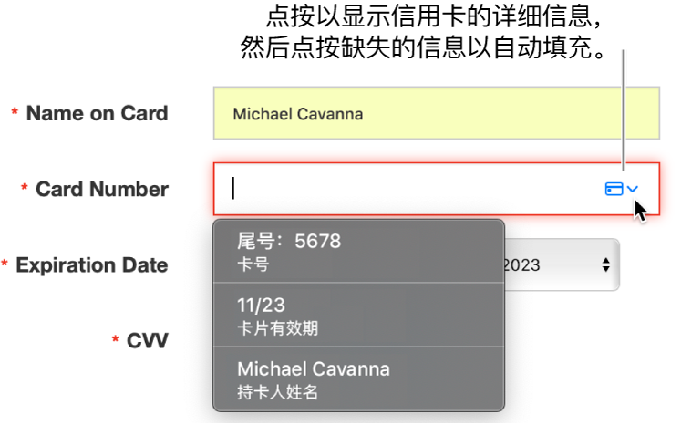 信用卡信息缺少详细信息,且自动填充显示可用选项。