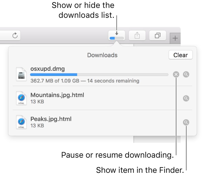 The Downloads button in the toolbar, with the downloads list below it.
